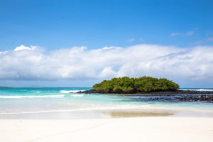 Tortuga Bay - Galapagos beach