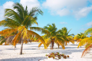 Sirena Beach en Cayo largo