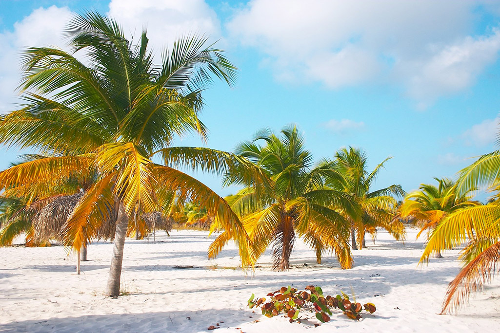Sirena Beach en Cayo largo